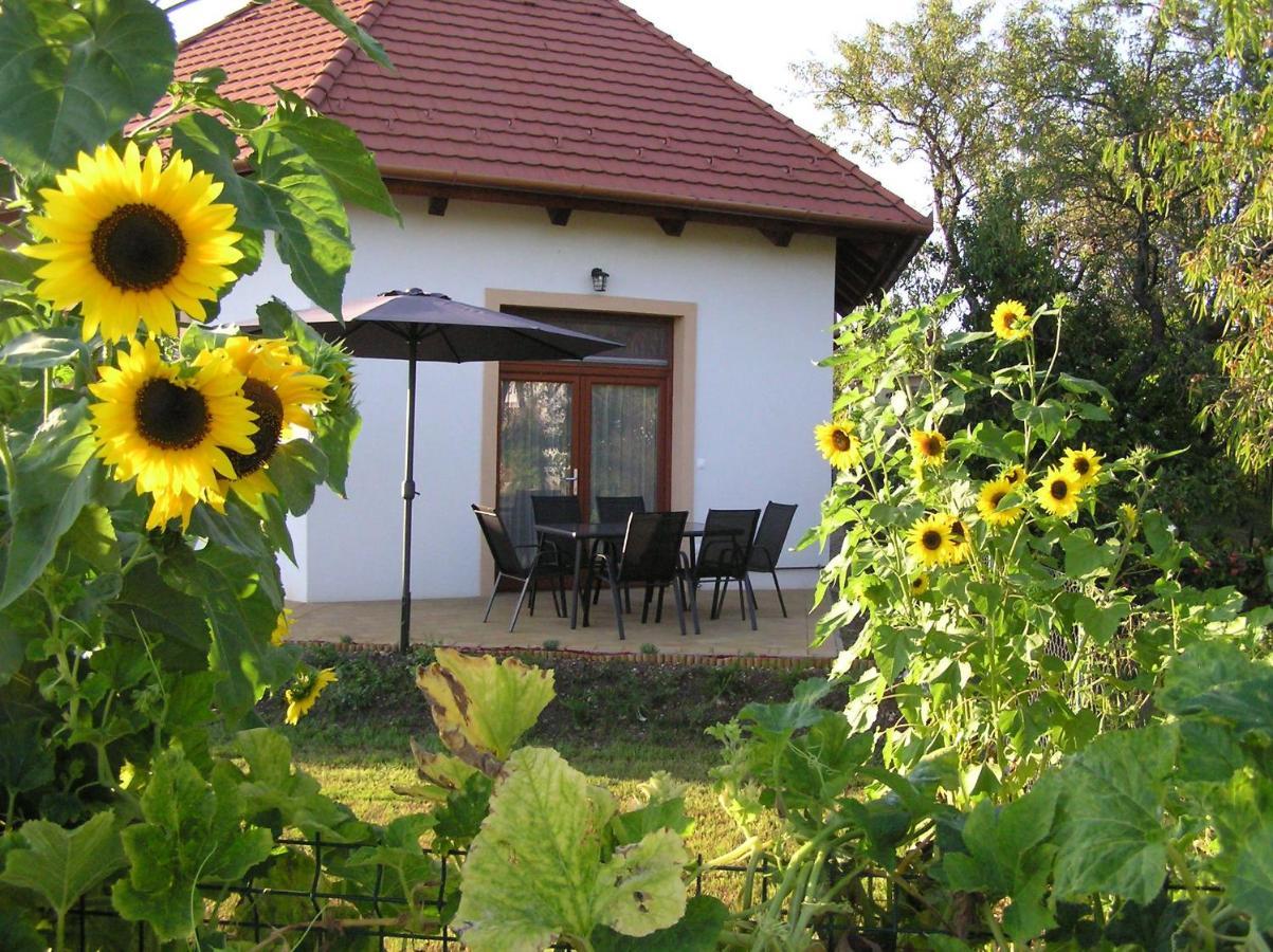 Egrelato Vendeghaz Apartment Balatonakali Exterior foto